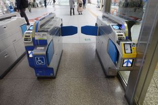 小田原 (2025/12/06)