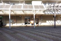 松戸野菊野 (05510)